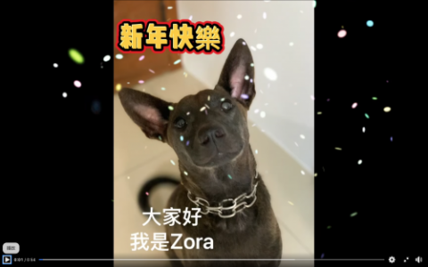 我是大耳朵Zora 2025-02-04 17.57.00.png