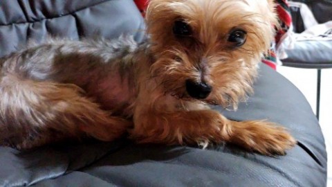 110691_0.jpg