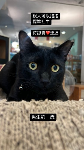 59D05B2D-527B-467F-AB73-0AE880DFF26A.JPG
