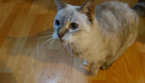 835801_0.jpg