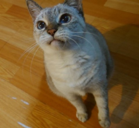 835802_0.jpg