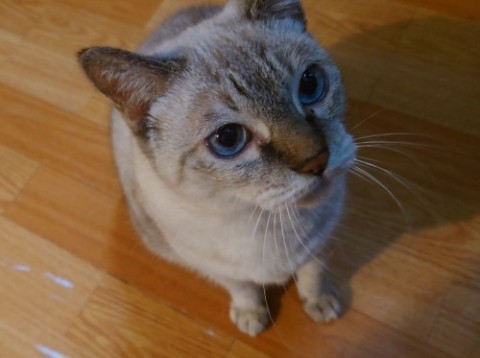 835803_0.jpg