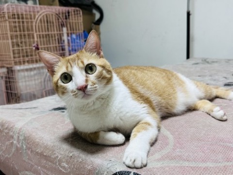 99339424-D3DB-4AB7-9D64-ACAEB784F2F3.jpeg