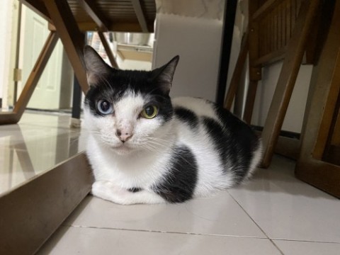 帶我回家吧 IMG_0583.jpeg