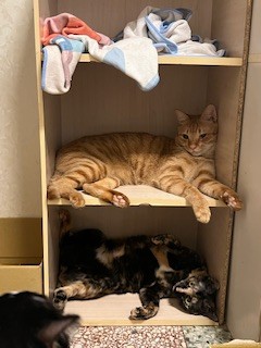 IMG_2197.jpeg