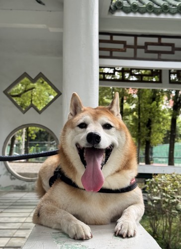 IMG_2984.jpeg