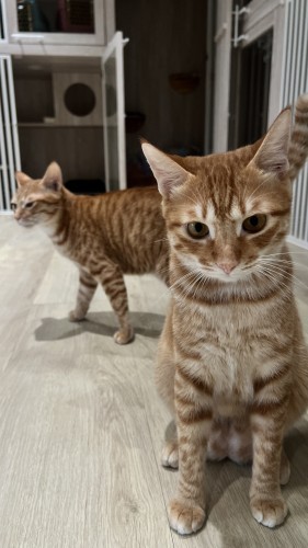 愛玩小男生 IMG_5555.jpg