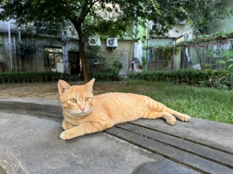 IMG_6358.jpeg