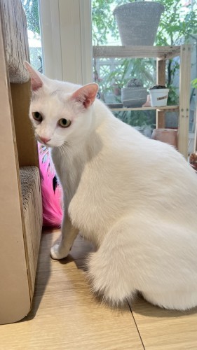 喜歡跟人互動 IMG_7195.jpg