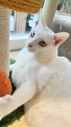 愛吃親人喜歡說話 IMG_7204.jpg