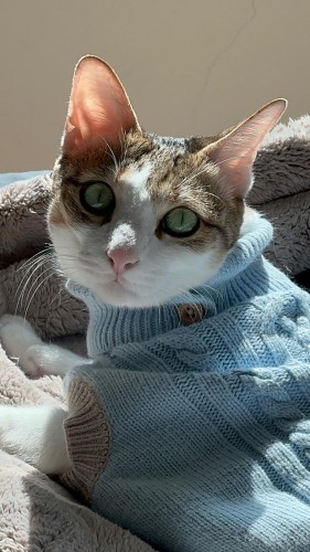 IMG_7279.jpeg