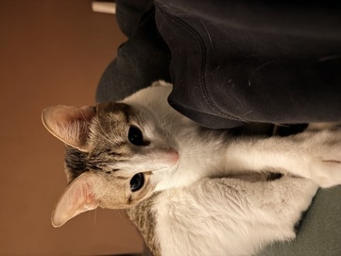 IMG_7280.jpeg