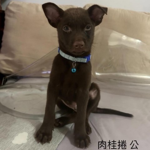 IMG_9935_副本.jpg