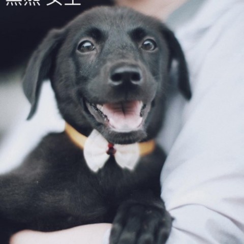 IMG_9938_副本.jpg
