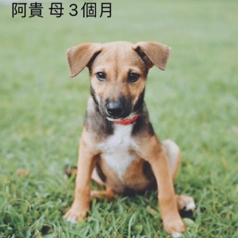 IMG_9939_副本.jpg