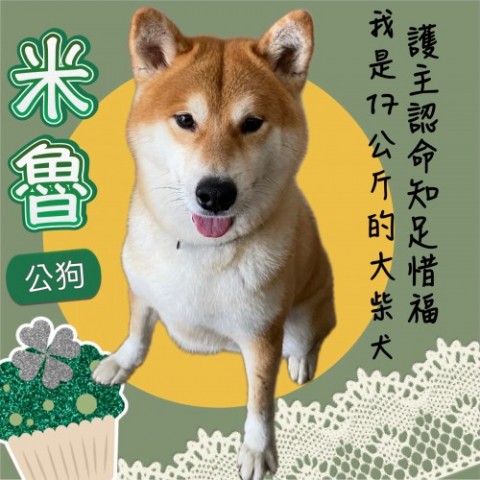 IMG_9966.jpeg