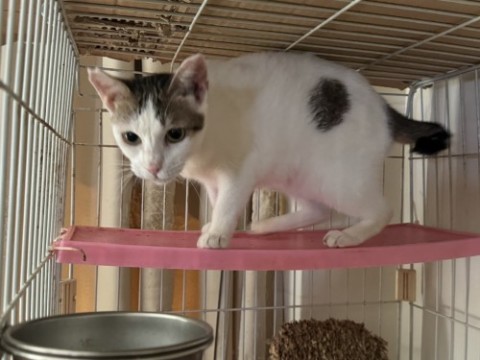 S__10100791.jpg