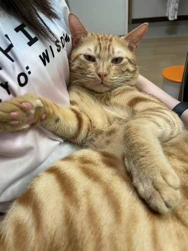 親人給抱 S__33890310_0.jpg