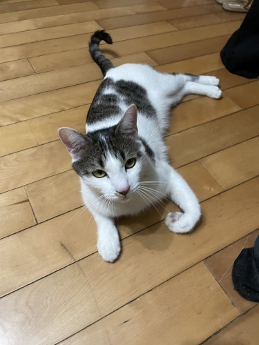 S__40935440.jpg