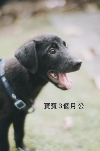 S__58818577.jpg