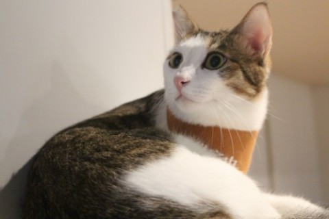 哈蜜 received_724979182843369.jpeg