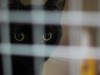20111214 395-1.jpg