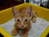 DSC00420.JPG