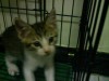 DSC01438.JPG