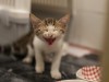 DSC04111.jpg