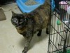 DSCN5438.jpg
