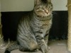 DSCN5462.jpg
