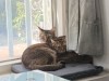 IMG_0957.jpeg
