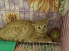 IMG_1523.jpeg
