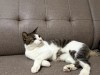 IMG_1603.jpeg