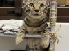 IMG_2401.jpeg