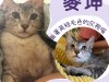 IMG_2806.jpeg