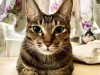 IMG_3806.jpeg