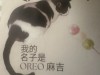 IMG_3919.jpeg