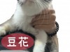 IMG_4190.jpeg