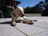 IMG_4265.jpeg