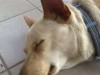 IMG_4436.jpeg