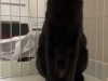 IMG_4530.jpeg
