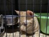 IMG_4749.jpeg