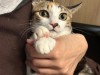 IMG_5345.jpeg
