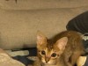 IMG_5546.jpeg