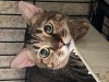 IMG_5740.jpeg
