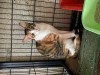 IMG_5752.jpeg