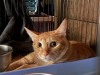 IMG_5756.jpeg