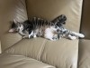IMG_5874.jpeg