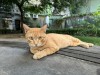 IMG_6360.jpeg